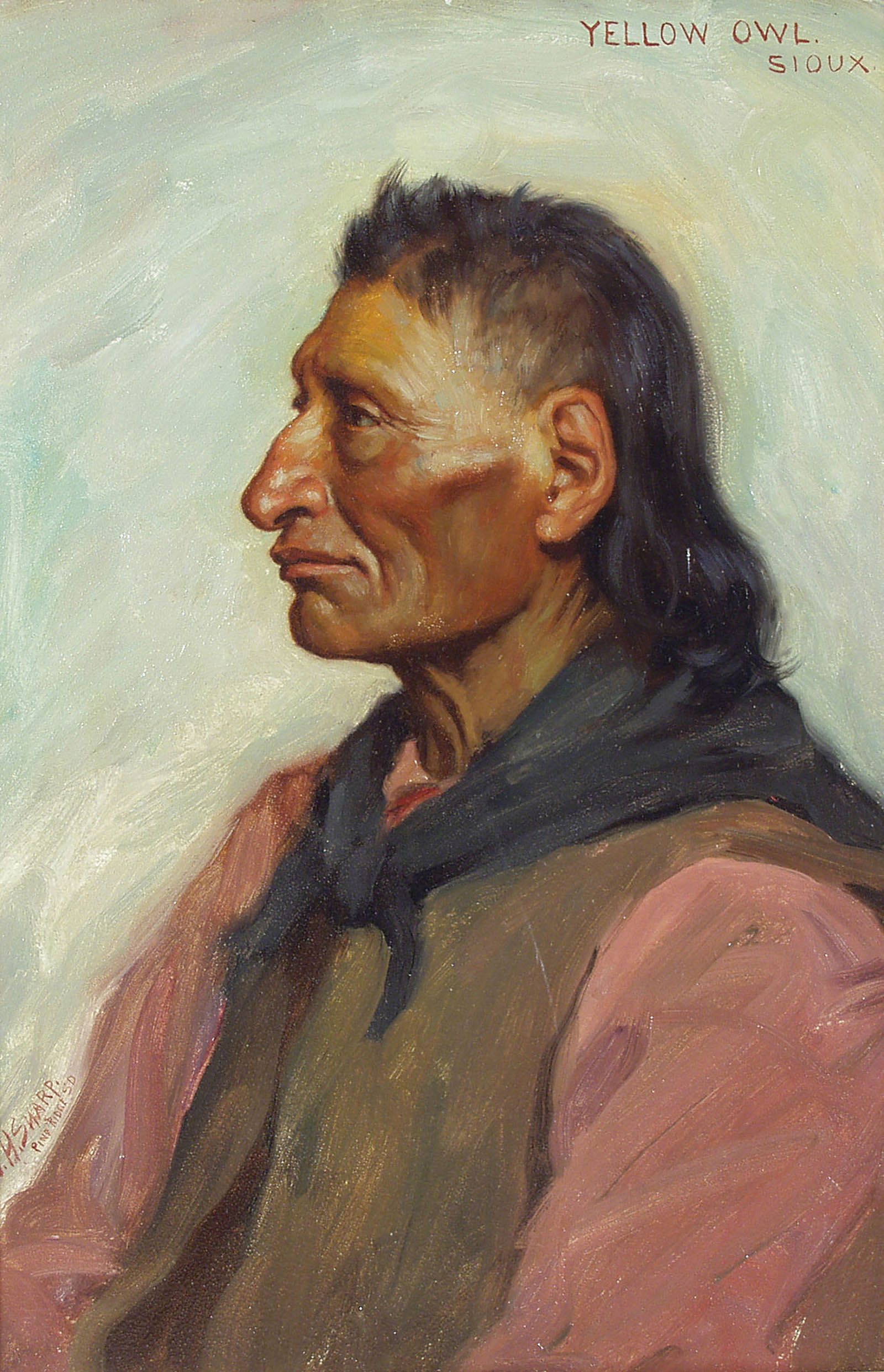 Yellow Owl - Sioux